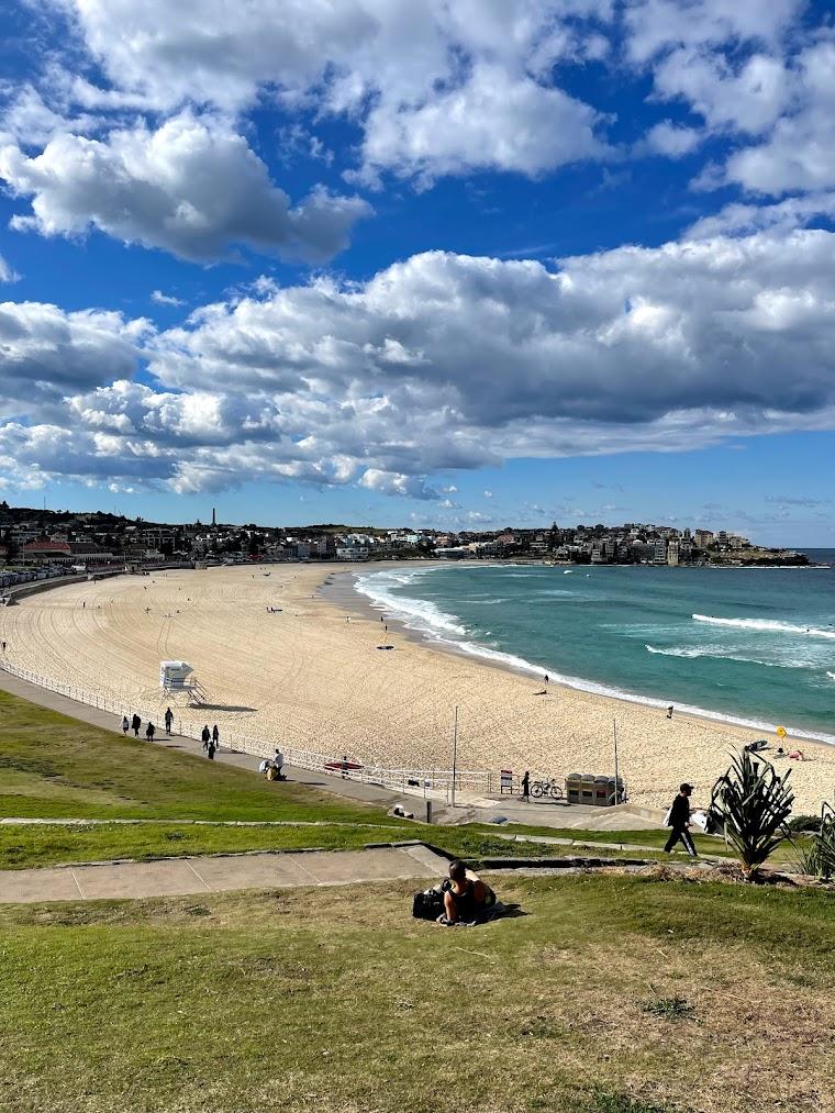 Bondi to Coogee Coastal Walk hero image