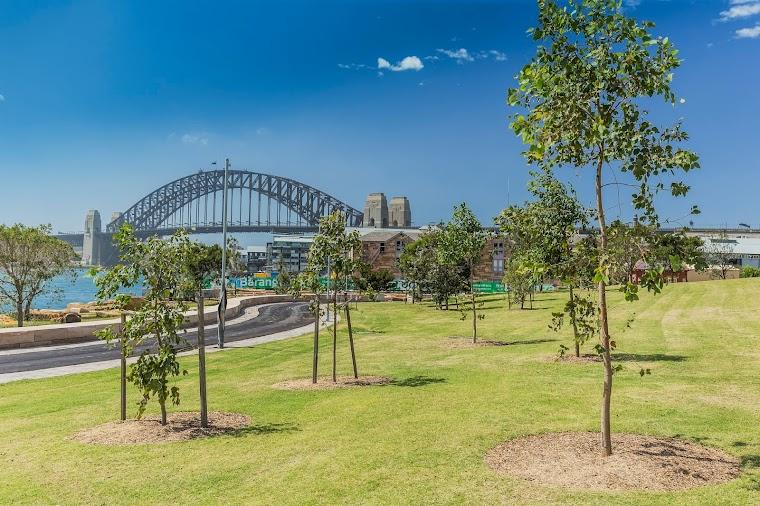 Darling Harbour and Barangaroo Reserve hero image