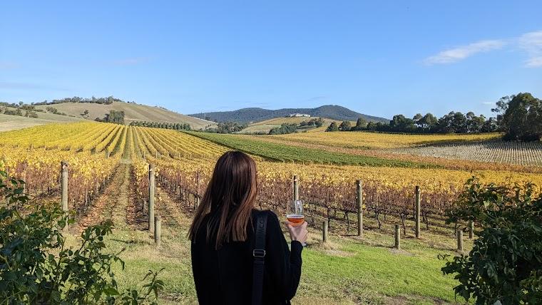 Yarra Valley Wine and Wildlife hero image