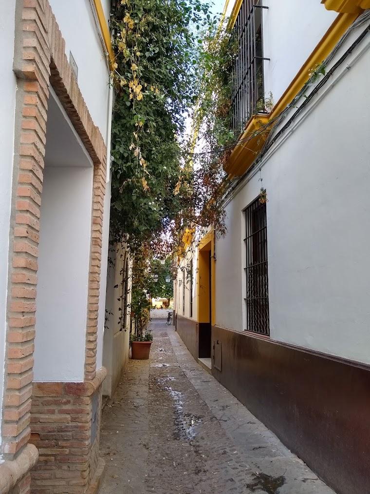 Seville hero image