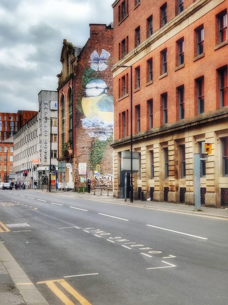 Manchester hero image