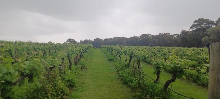 Hunter Valley hero image