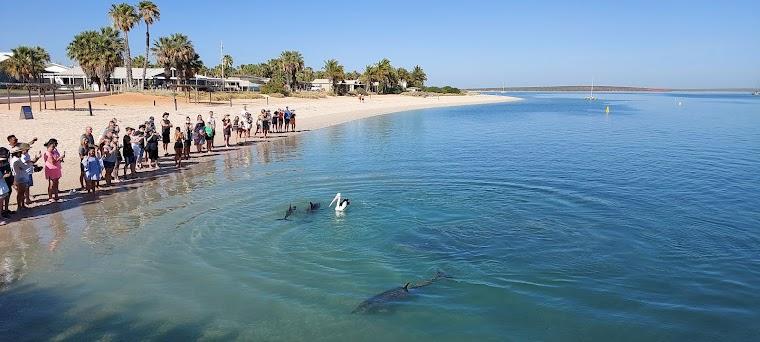 Geraldton to Monkey Mia hero image