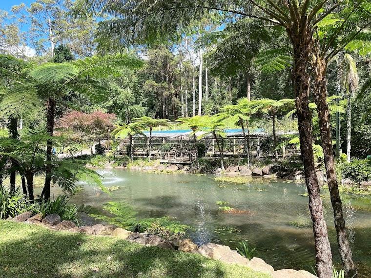 Tamborine Mountain hero image