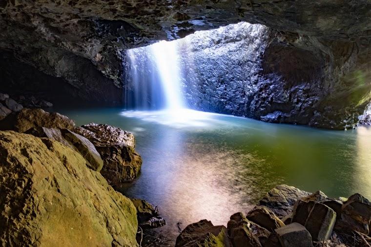 Springbrook National Park hero image