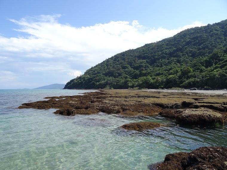 Cape Tribulation hero image